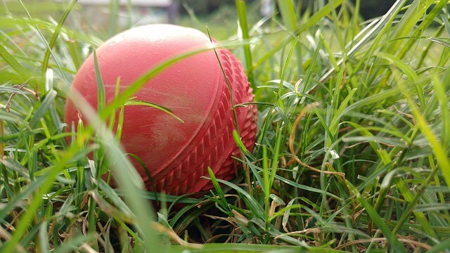 Gully Cricket Match